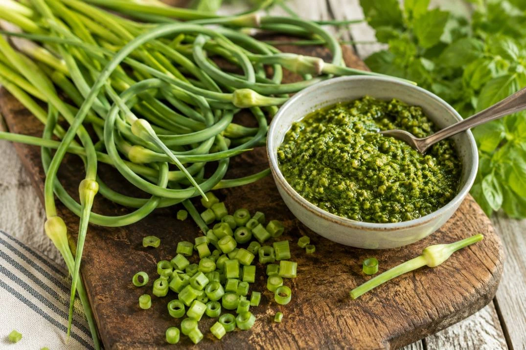 Garlic Scape
