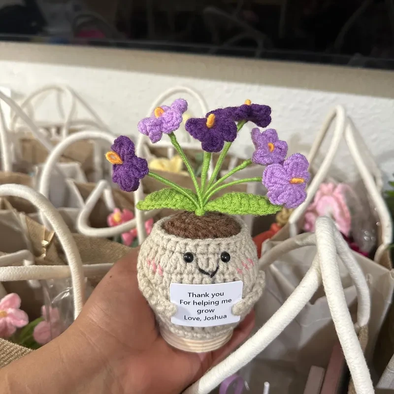 Handmade Crochet Plants