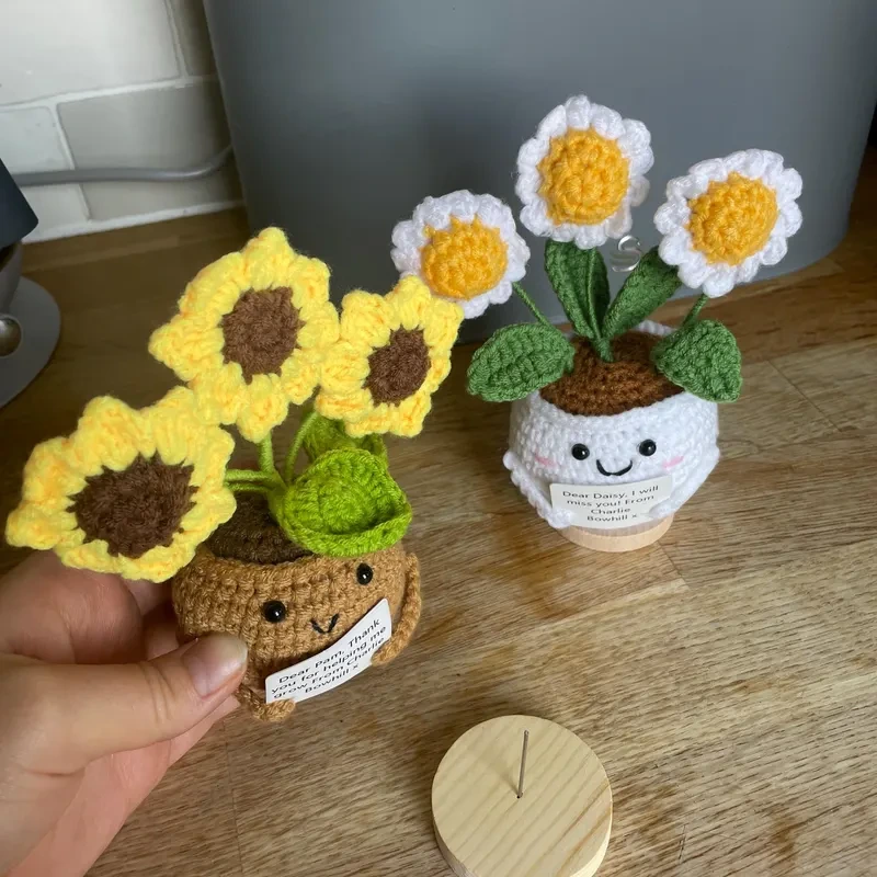 Handmade Crochet Plants
