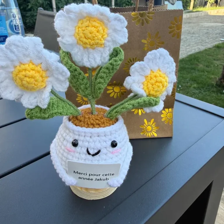 Handmade Crochet Plants